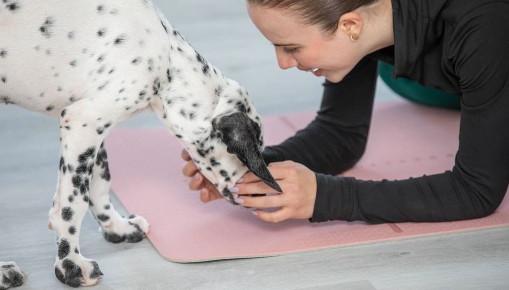 Pawsitively Pilates